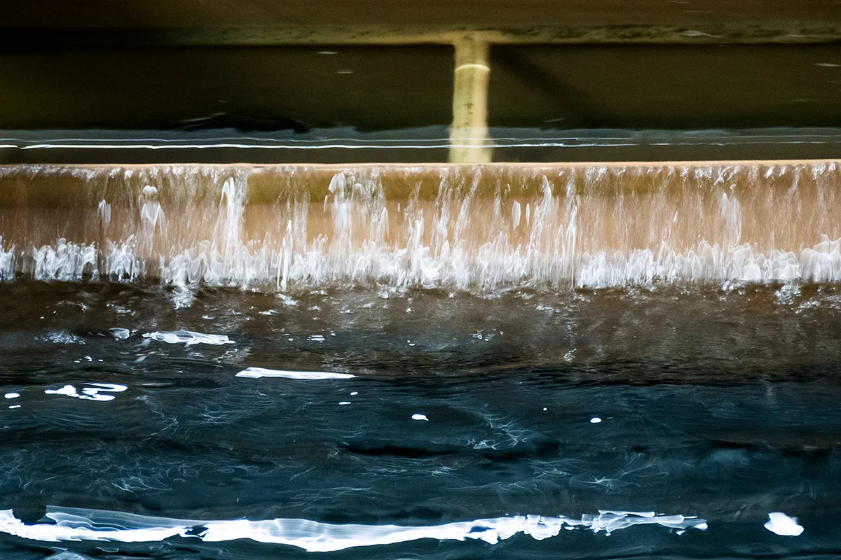 Biological removal of manganese at Olofström (SW).